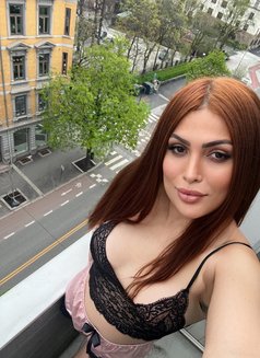 Juliana ts arabic in Zurich - Transsexual escort in Zürich Photo 10 of 11