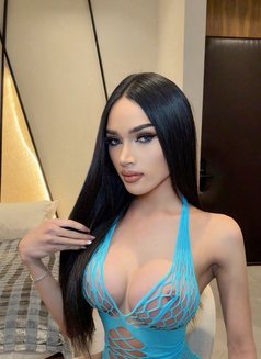 Julie Sexy ladyboy top&bottom69 - masseuse in Riyadh Photo 13 of 13