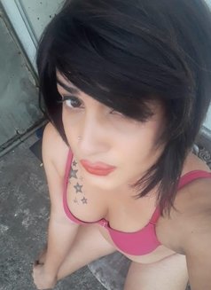 Julie - Transsexual escort in Colombo Photo 3 of 7