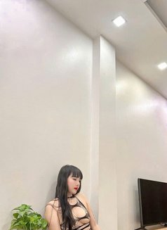 Juna Slutty Girl Cute( New Hot) - escort in Hanoi Photo 9 of 13