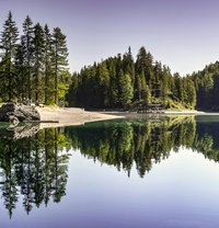 Junaid - Male escort in Islamabad