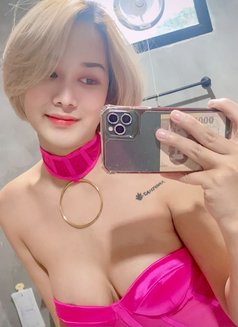 Jundro🇹🇭🇰🇷Pussy Lady - Transsexual escort in Riyadh Photo 3 of 9