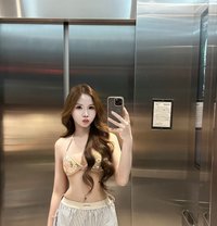 June - Acompañantes transexual in Pattaya