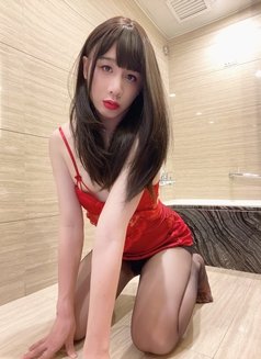 Now in Shanghai - Transsexual escort in Shanghai Photo 9 of 16