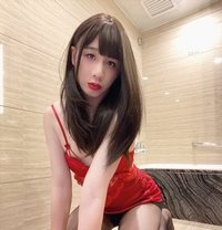 Until September - Transsexual escort in Taipei