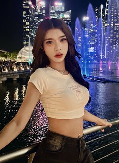 June Lee - Acompañantes transexual in Phuket Photo 28 of 30
