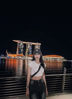 June Lee - Acompañantes transexual in Phuket Photo 30 of 30