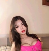 June Lee - Acompañantes transexual in Phuket