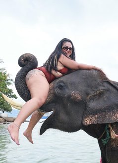 Junny Fat Ass - escort in Phuket Photo 7 of 10