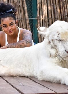 Junny Fat Ass - escort in Phuket Photo 10 of 10