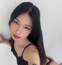 Juruly - escort in Doha