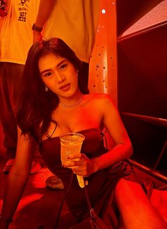 Just Arrived Asian Cumloaded Elise - Acompañantes transexual in Bangkok Photo 6 of 7