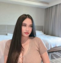 🦋Just Arrived! Best GFE🦋 - escort in Tokyo