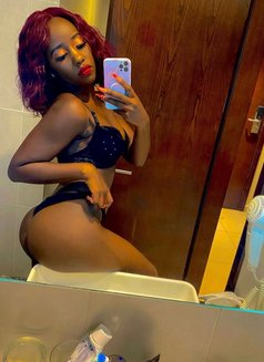 Just arrived for 10 days only . - escort in Doha Photo 5 of 5