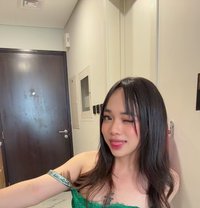Just Arrived Fresh Young Stacy 🇵🇭🇦🇪 - Acompañantes transexual in Abu Dhabi Photo 11 of 16