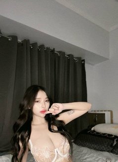 Just Arrived Goddes Sofie - escort in Taipei Photo 10 of 13