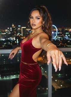 Just Arrived in Kl - Acompañantes transexual in Kuala Lumpur Photo 4 of 6