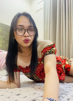 Just Arrived New Simply Katie 🇵🇭🇴🇲 - Transsexual escort in Muscat Photo 2 of 8