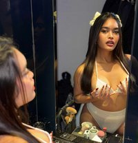 ONLY FOR CAMSHOW DONT ASK FOR MEET UP - Acompañantes transexual in Tel Aviv