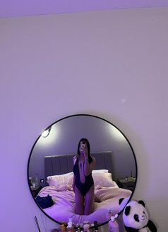 Just Arrived Young Sexy Katie 🇵🇭🇸🇦 - Acompañantes transexual in Riyadh Photo 10 of 10