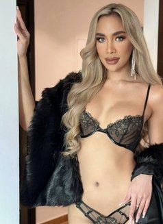 Mariya sexy top - Acompañantes transexual in Dubai Photo 28 of 30