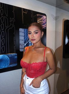 Just Landed! Catt is ready. - escort in Hong Kong Photo 15 of 21