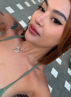 Just Landed! Catt is ready. - escort in Hong Kong Photo 17 of 21