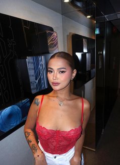 Just Landed! Catt is ready. - escort in Hong Kong Photo 18 of 21