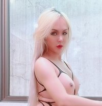 JUST ARRIVED TS ALYSA BIG COCK - Transsexual escort in Macao