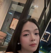 Just landed Ts Angelica - Transsexual escort in Kuala Lumpur