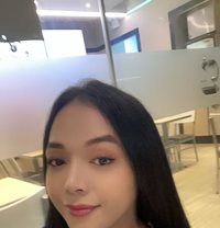 Just landed Ts Angelica - Transsexual escort in Kuala Lumpur