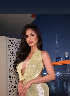 JUST LANDED VIP “COURTESAN” NATHALIA - Transsexual escort in New Delhi Photo 30 of 30