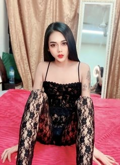 Justin LadyBoy Thailand - Transsexual escort in Muscat Photo 4 of 11