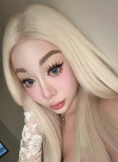 Justmin on top - Transsexual escort in Singapore Photo 17 of 19