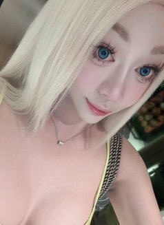 Justmin on top - Transsexual escort in Singapore Photo 18 of 19