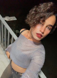 Kàaju Here - Acompañantes transexual in Surat Photo 1 of 1