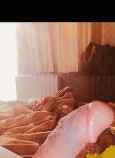 Kabayan Top Horse - masseur in Dubai Photo 9 of 9