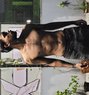 Kabir - Male escort in Bangkok Photo 1 of 7
