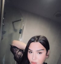 Kadi - Transsexual dominatrix in Erbil