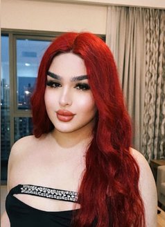 Kadi - Transsexual escort in Kuala Lumpur Photo 1 of 6