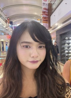 Kaethreen Eva - Transsexual escort in New Delhi Photo 6 of 7