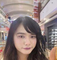 Kaethreen Eva - Acompañantes transexual in New Delhi