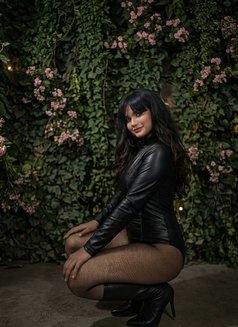 Kaethreen Eva - Transsexual escort in New Delhi Photo 8 of 9