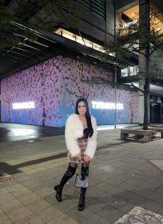 AsianMixed just arrived 🇹🇼 - Transsexual escort in Taipei Photo 15 of 23