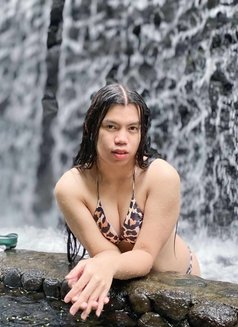 Kaitlynsoyummy - Transsexual escort in Manila Photo 4 of 4