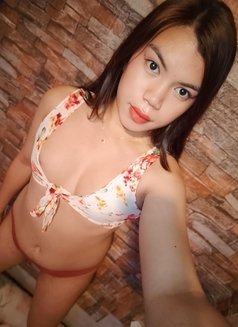 Kaitlynsoyummy - Transsexual escort in Manila Photo 2 of 4