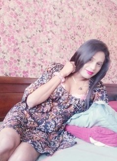 Kalifa Romantic Sex & Cute Boobs - Transsexual escort in Colombo Photo 14 of 21