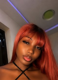 Kalisha - escort in Dakar Photo 7 of 8