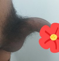 Kamal - Male escort in Chennai