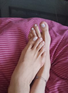 Kamar - escort in Beirut Photo 4 of 6